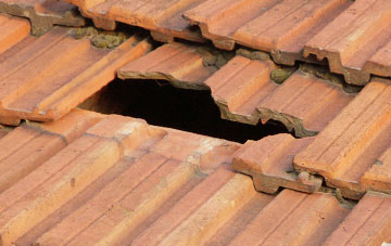 roof repair Sandon