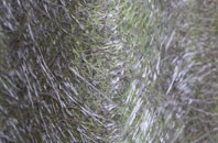 Sandon fibreglass roof work